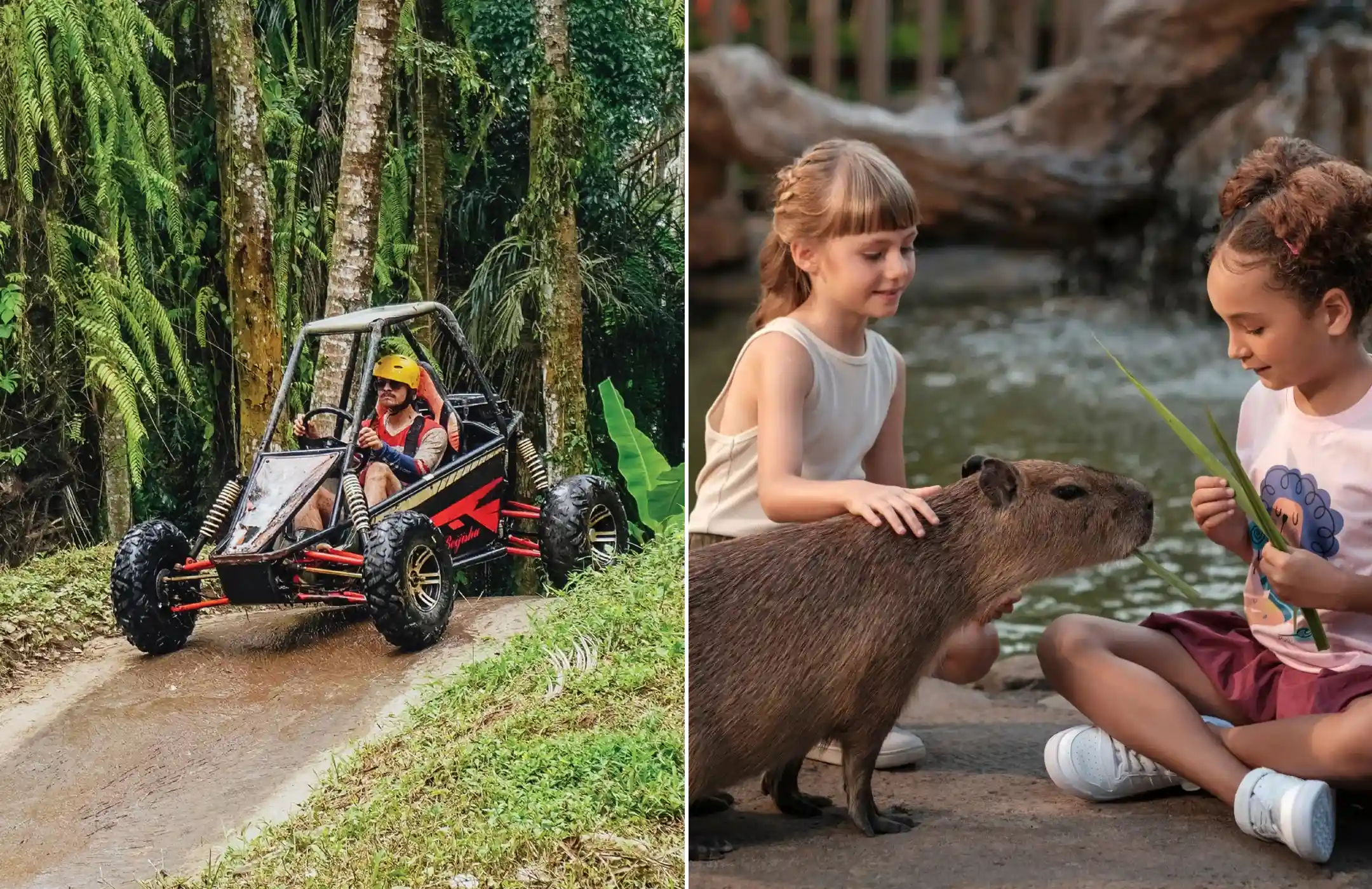 Bali Buggy Adventure & Brunch with Capybaras Tour