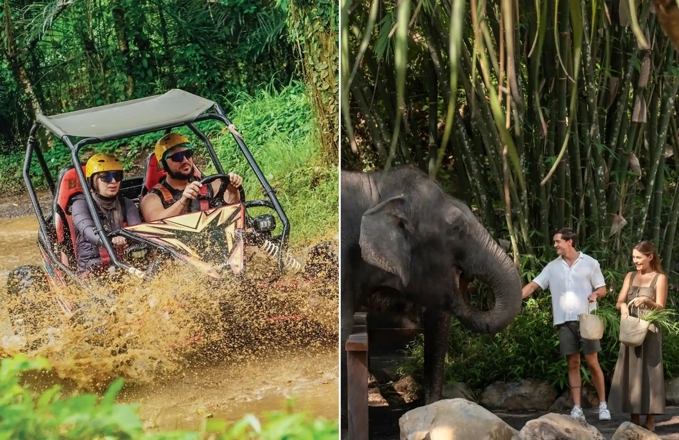 Bali Buggy Adventure & Elephant Explorer Tour