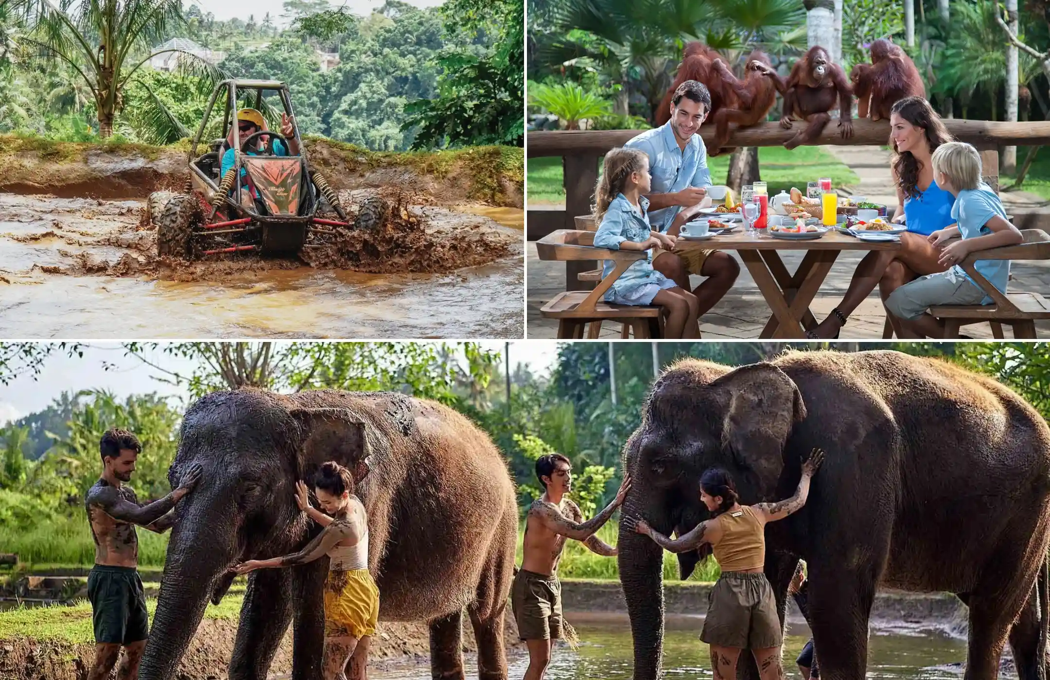 Bali Buggy Adventure, Breakfast with Orangutans & Elephant Mud Fun Tour