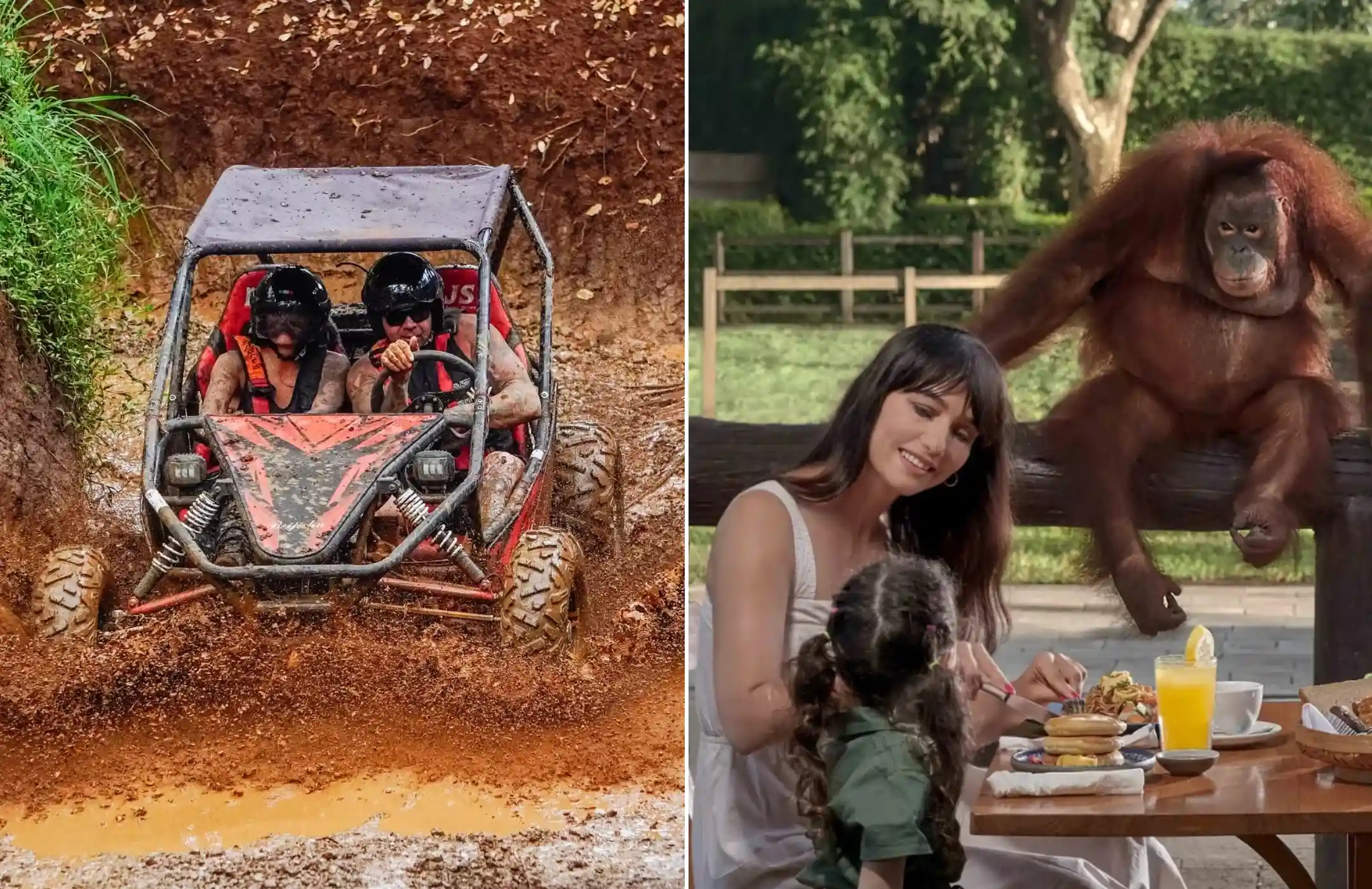 Bali Buggy Adventure & Breakfast with Orangutans Tour