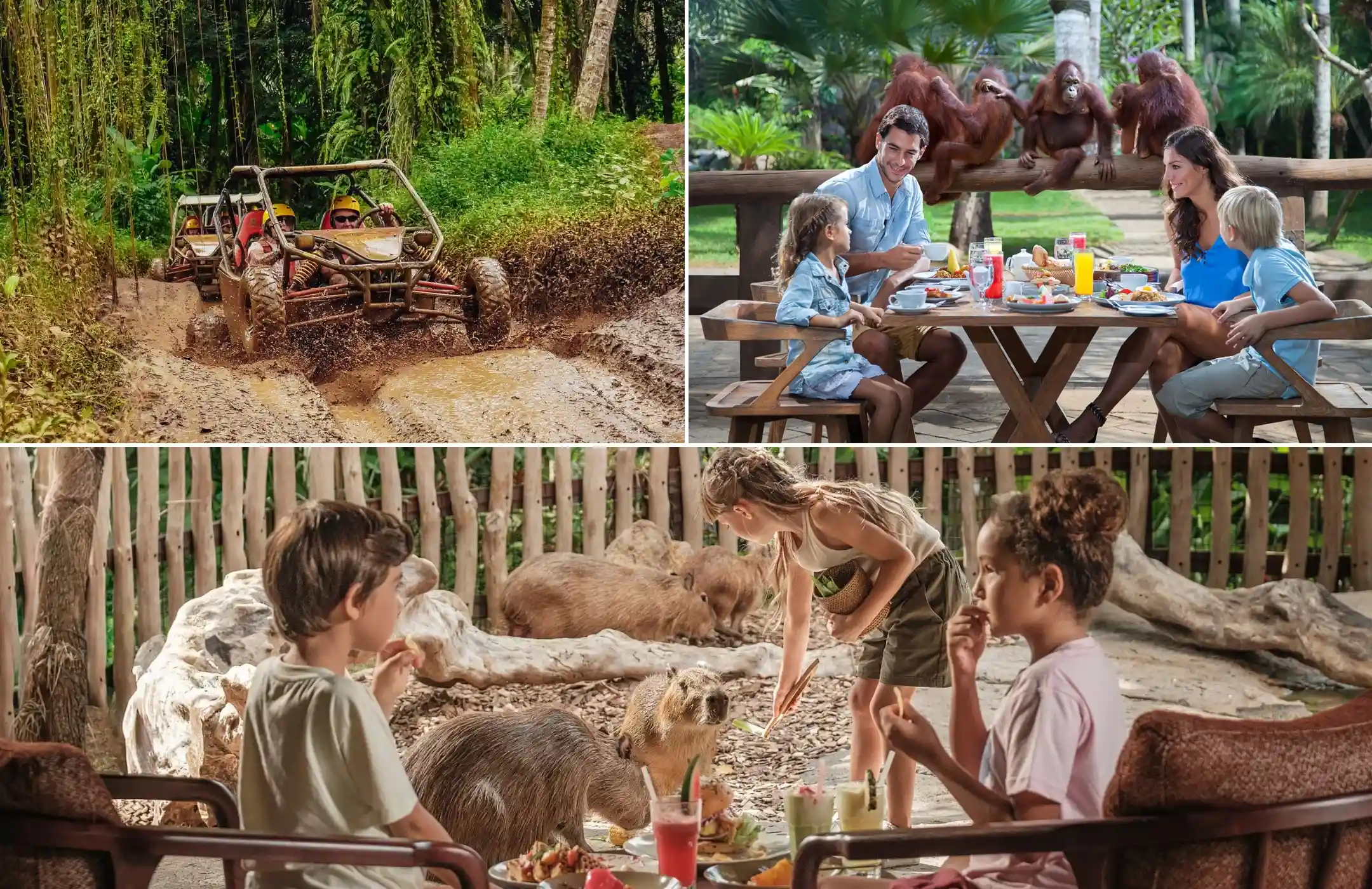 Bali Buggy Adventure, Breakfast with Orangutans & Brunch with Capybaras Tour