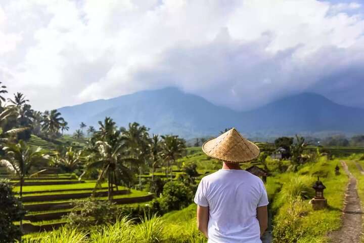 Tanah Lot, Jatiluwih Rice Terrace and Waterfall Day Tour