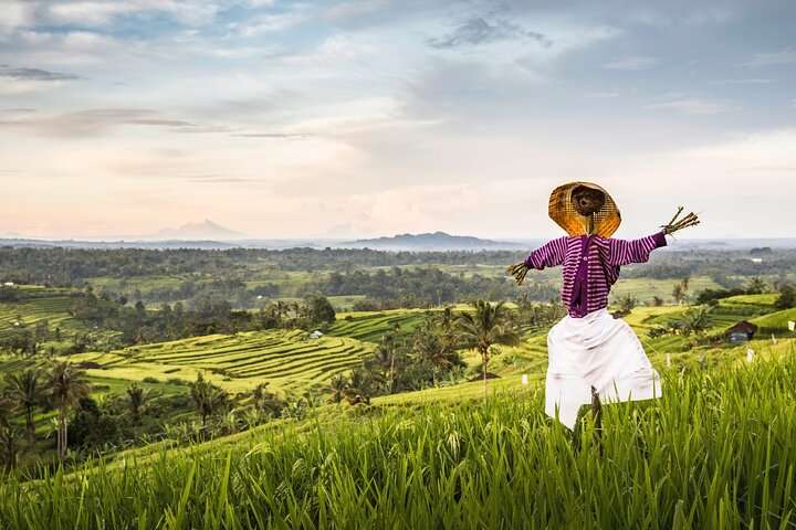 Tanah Lot, Jatiluwih Rice Terrace and Waterfall Day Tour