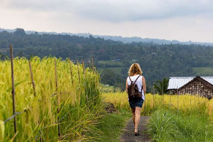 Tanah Lot, Jatiluwih Rice Terrace and Waterfall Day Tour