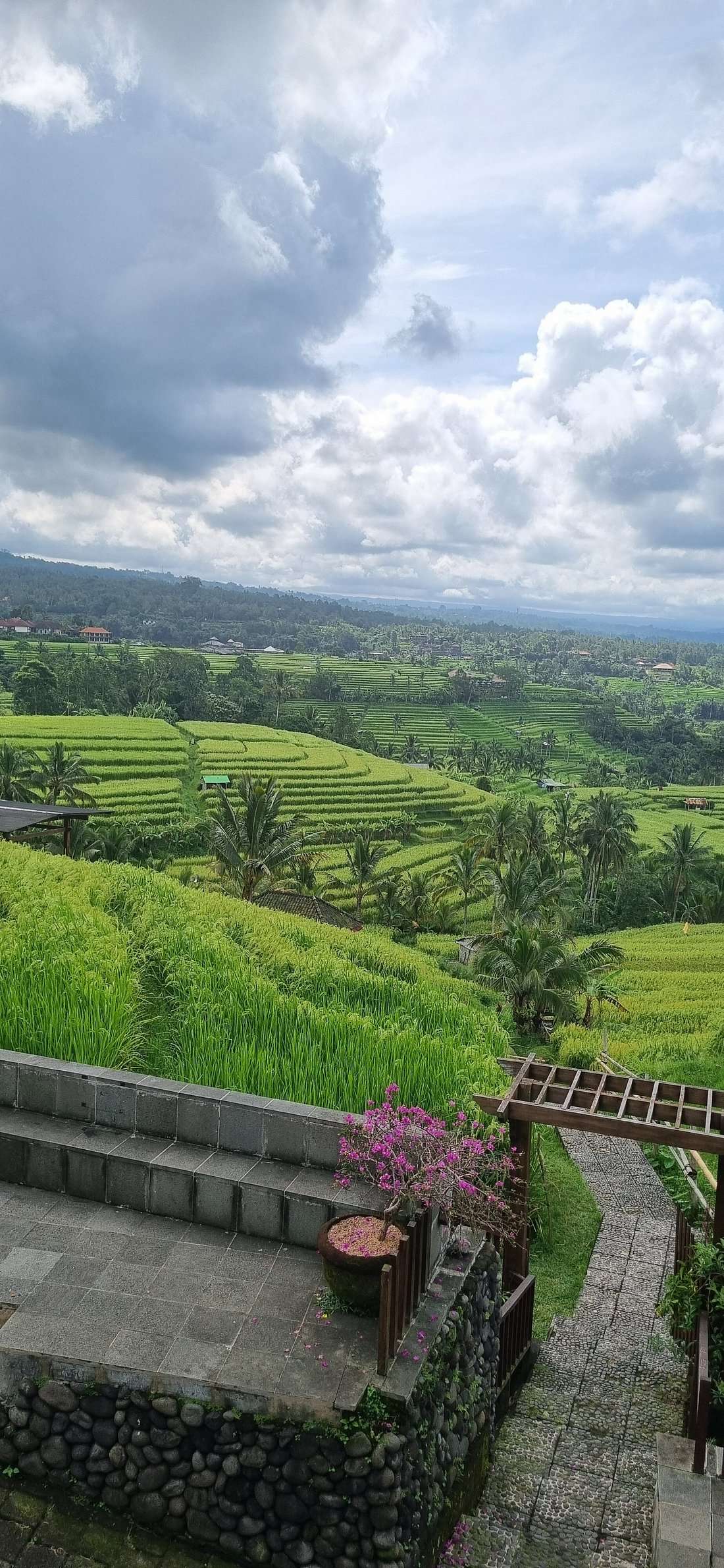 Tanah Lot, Jatiluwih Rice Terrace and Waterfall Day Tour