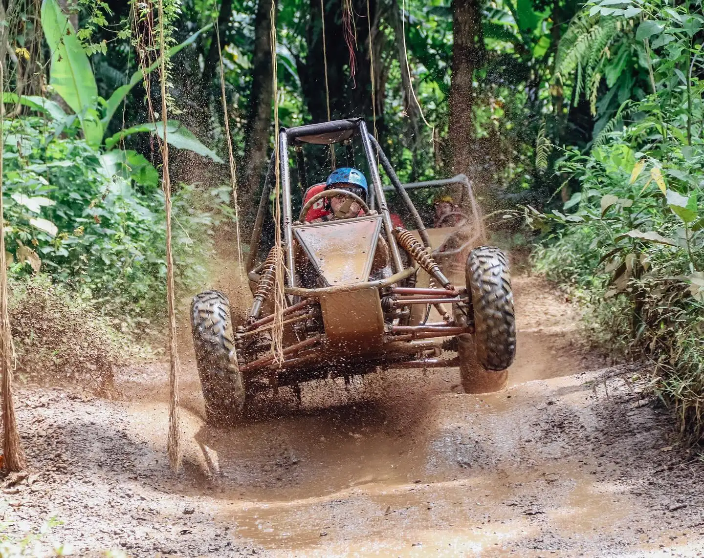 Best Bali Jungle Buggy Adventure Guide for First-Time Visitors