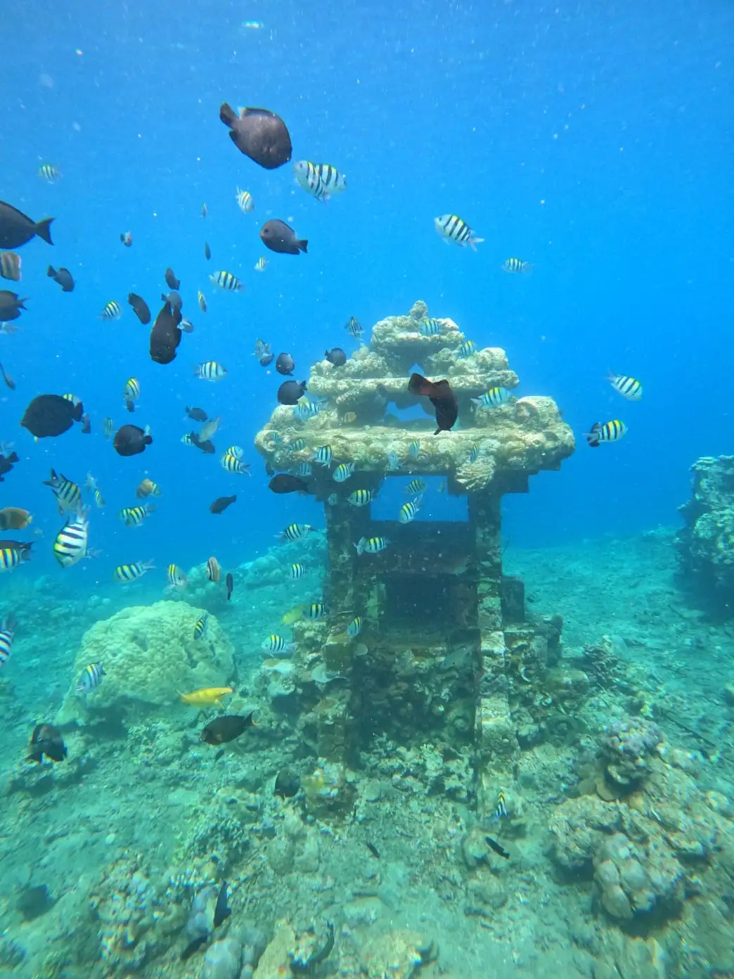 Under Water Temple