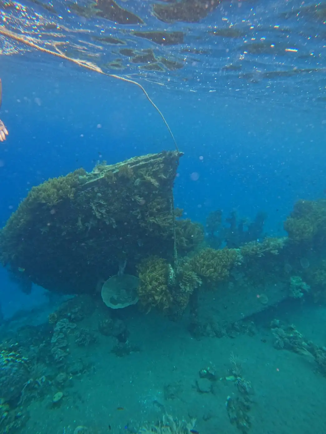 Japanese Shipwreck