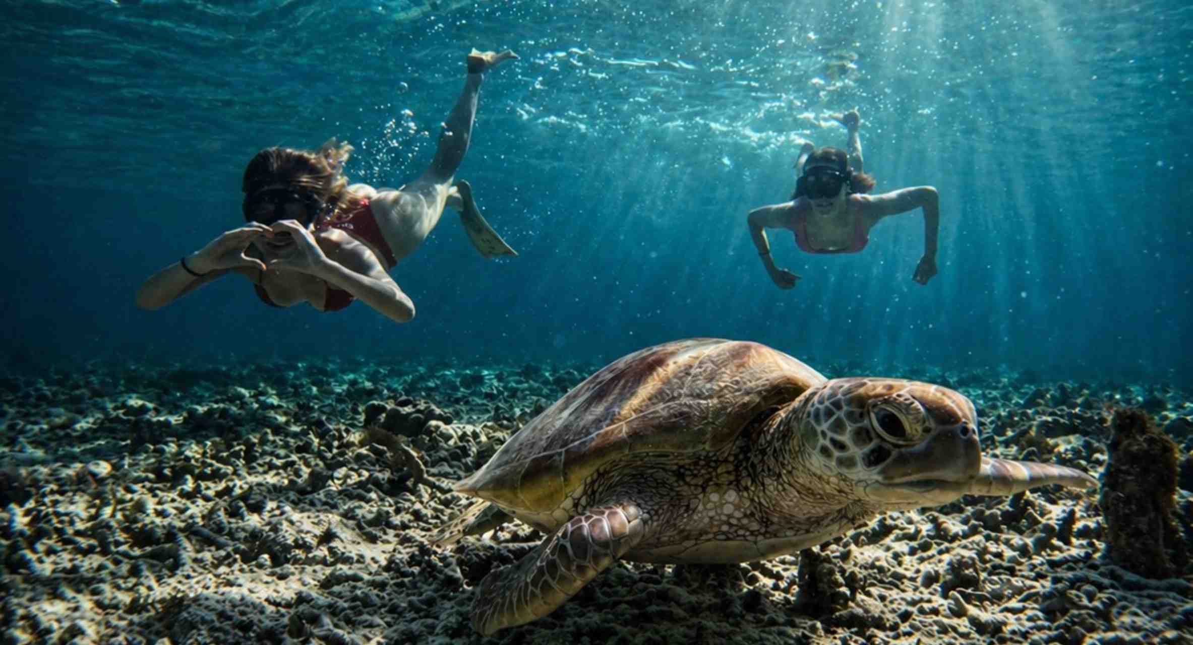 Oseana Snorkeling Adventure
