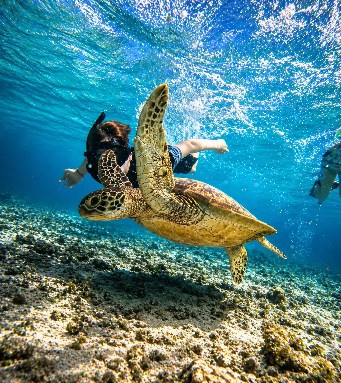 Best Snorkeling Trip in Gili Islands with Oseana Snorkeling Adventure