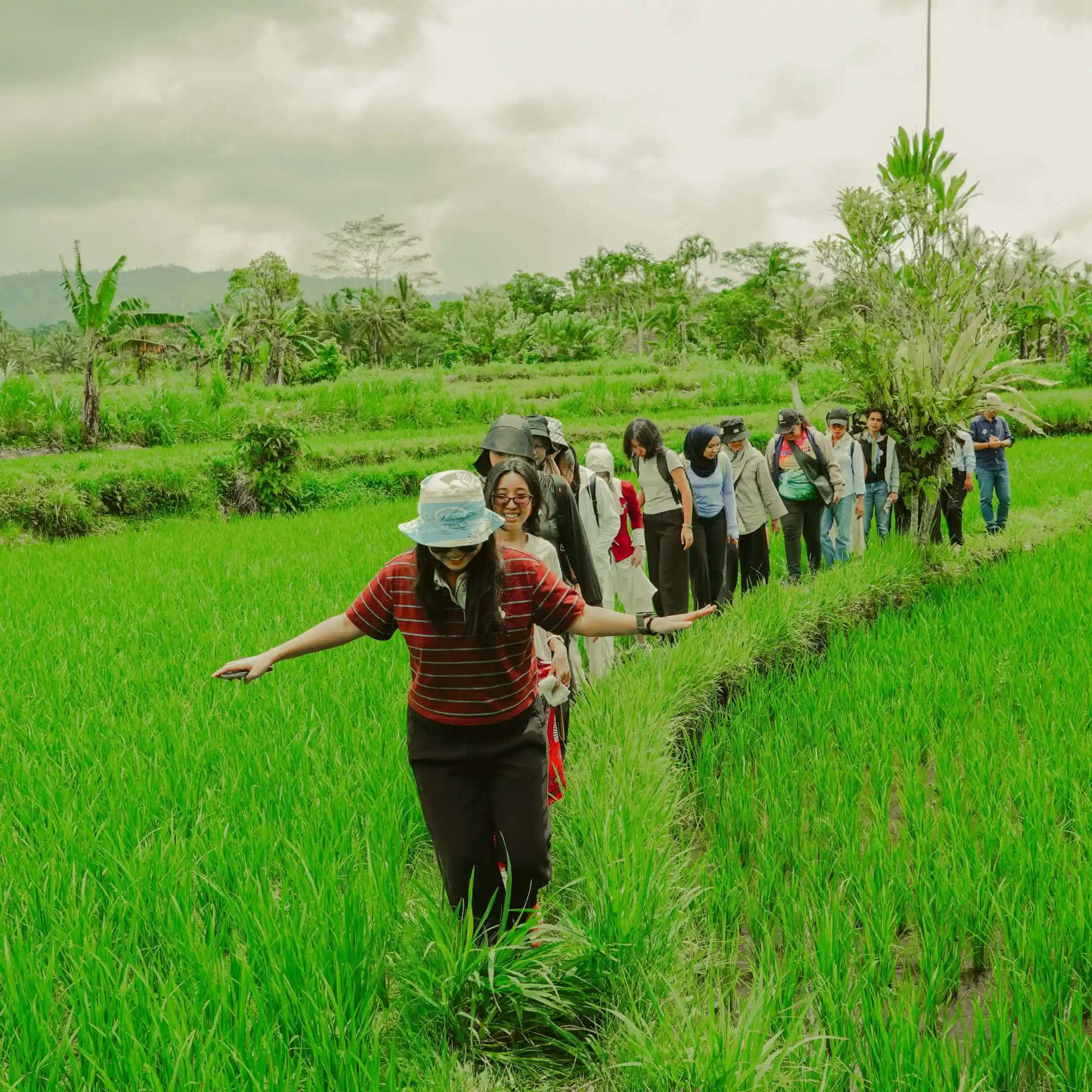 Tour of Rice Fields