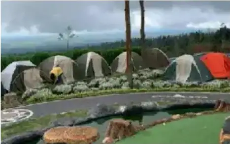 Wisata alam Taman Edelweiss
