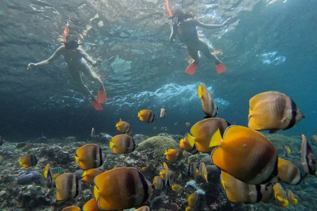Is a Day Trip to Nusa Penida Worth It?