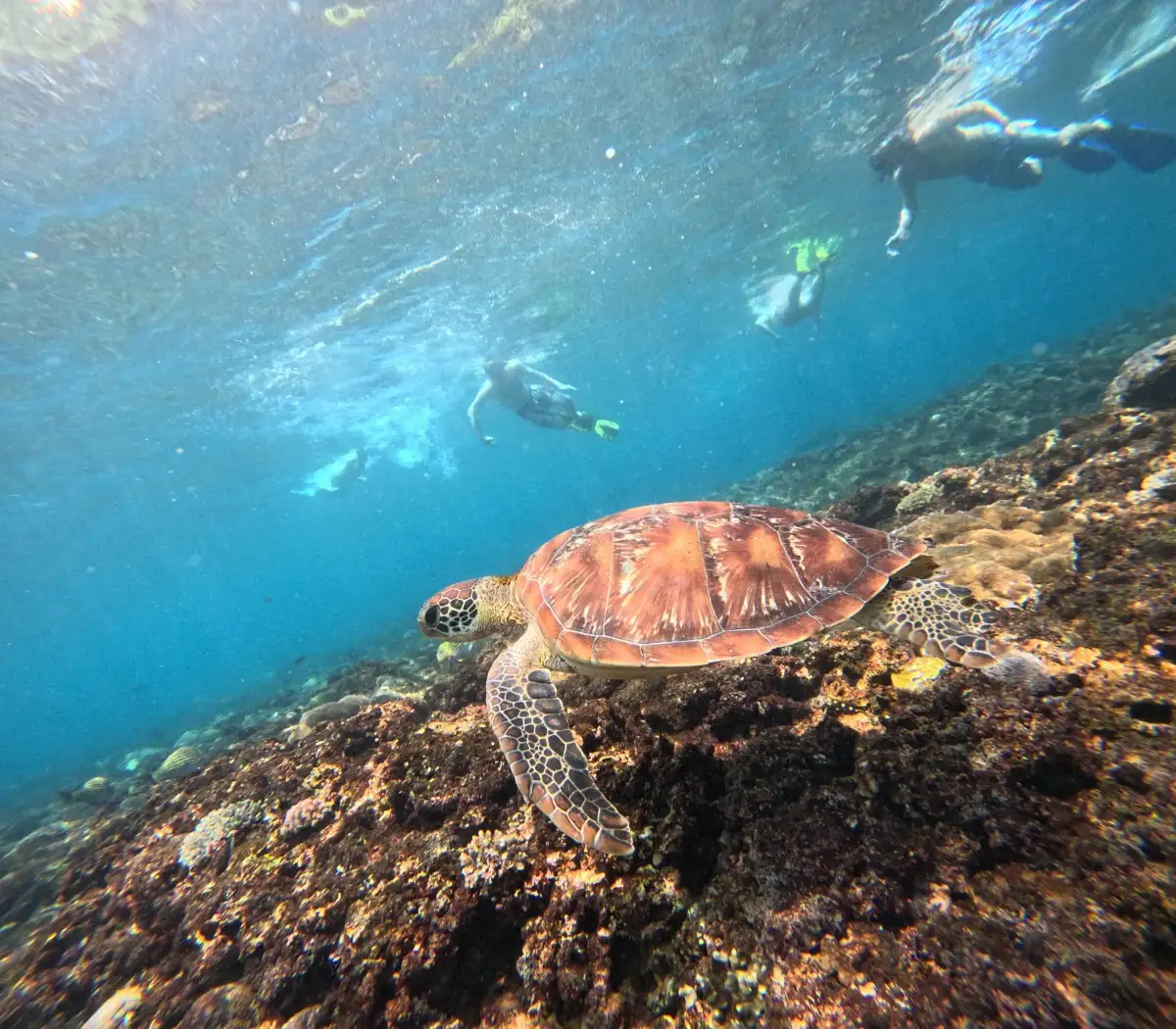 Lembongan Snorkeling and Island Tour from Bali