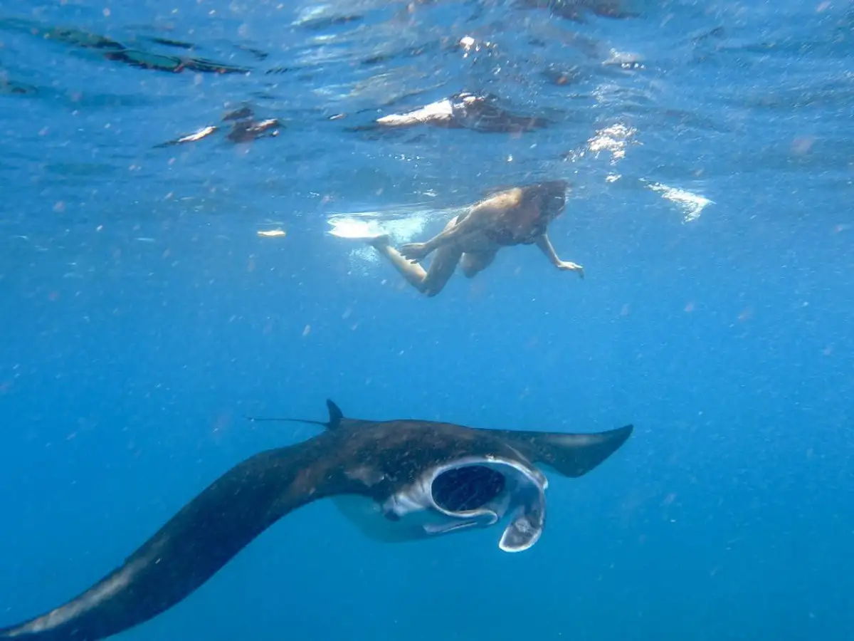 Lembongan Snorkeling and Island Tour from Bali