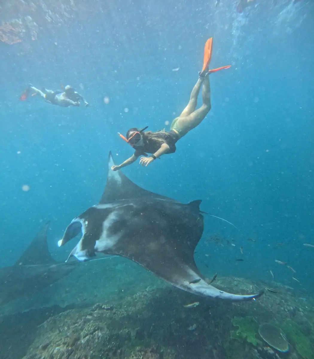 Manta Snorkeling and Mangrove Tour from Nusa Penida