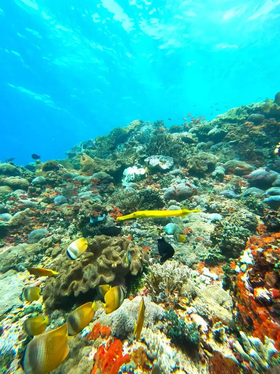 Nusa Penida to Lembongan Snorkeling and Island Tour