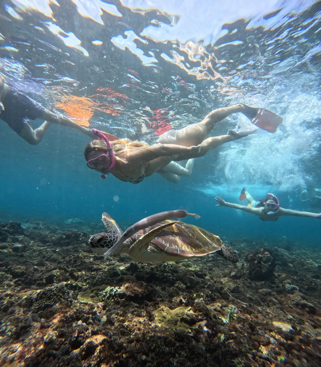 Best Snorkeling Trips in Nusa Lembongan and Nusa Penida