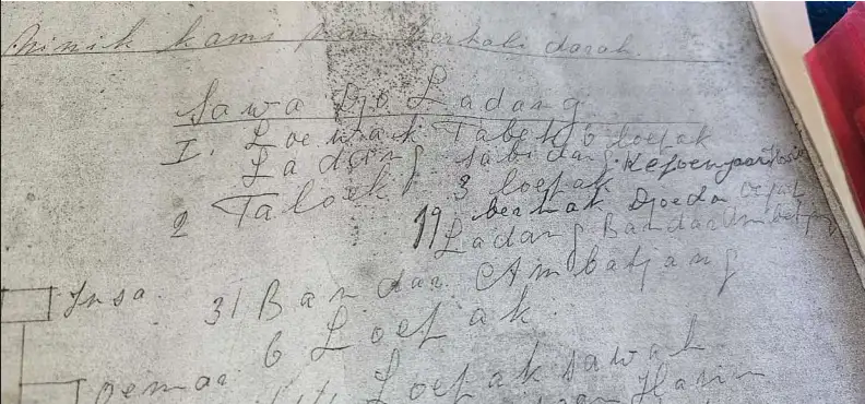 Misteri Ranji 1901: Jejak Kaum, Gelar Adat, dan Pusako di Luhak Nan Tuo