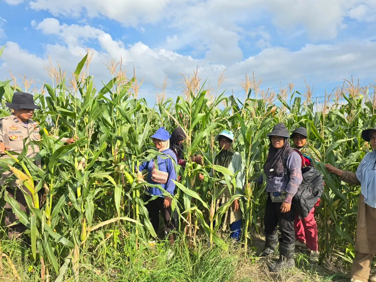 Polsek Bangko Optimalkan Pendampingan Petani untuk Wujudkan Swasembada Pangan Nasional