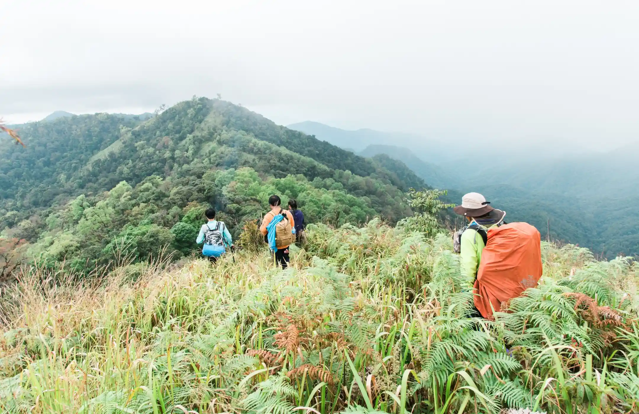 Mount Abang Trekking