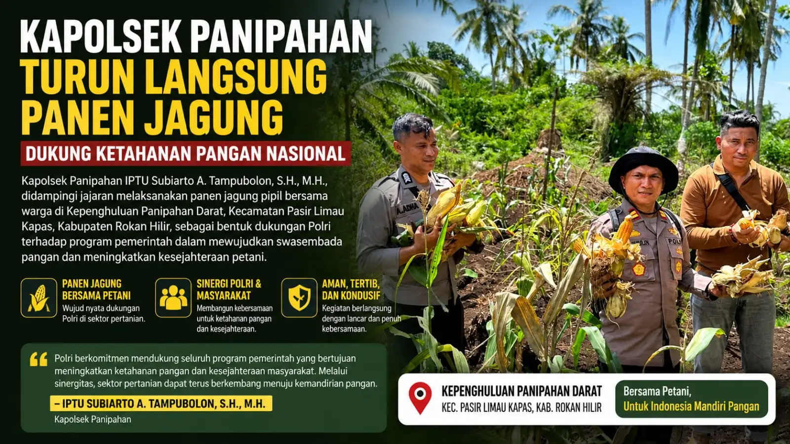 Dukung Program Ketahanan Pangan Nasional, Kapolsek Panipahan Turun Langsung Panen Jagung Bersama Warga