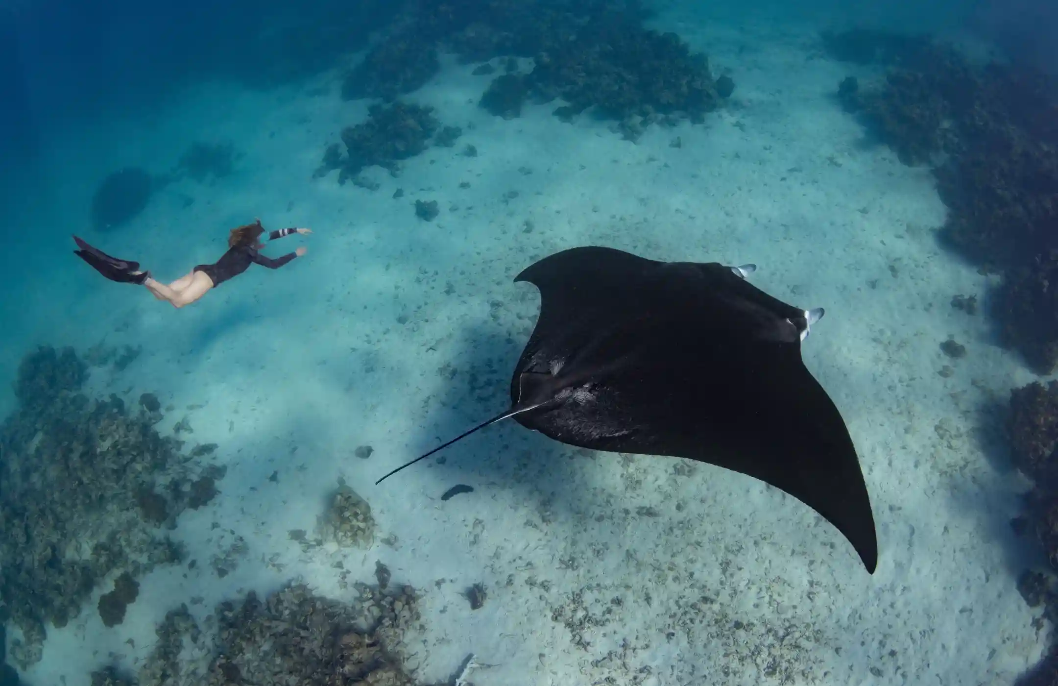 Nusa Penida 1 Day Tour + Snorkeling
