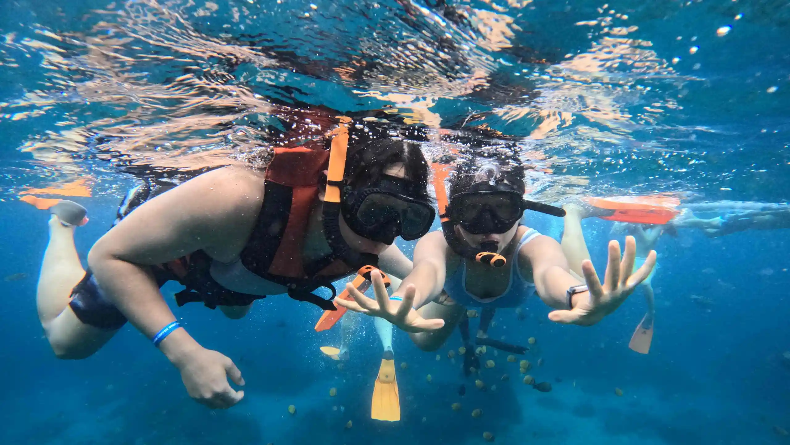 Lembongan Trips