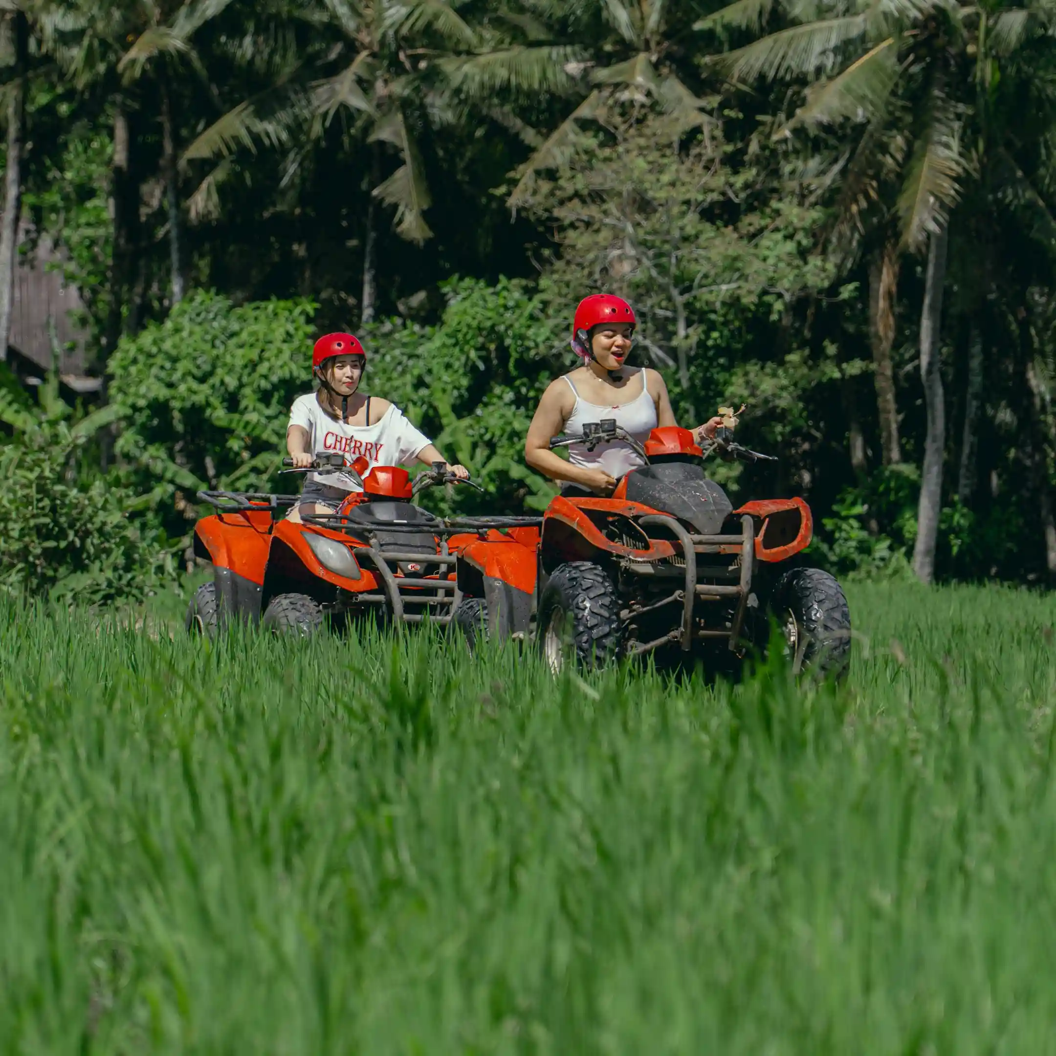 Rice Field Track