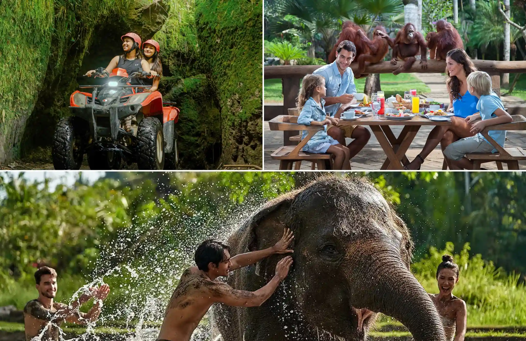 Ubud Quad Bike, Breakfast with Orangutans & Elephant Mud Fun Tour