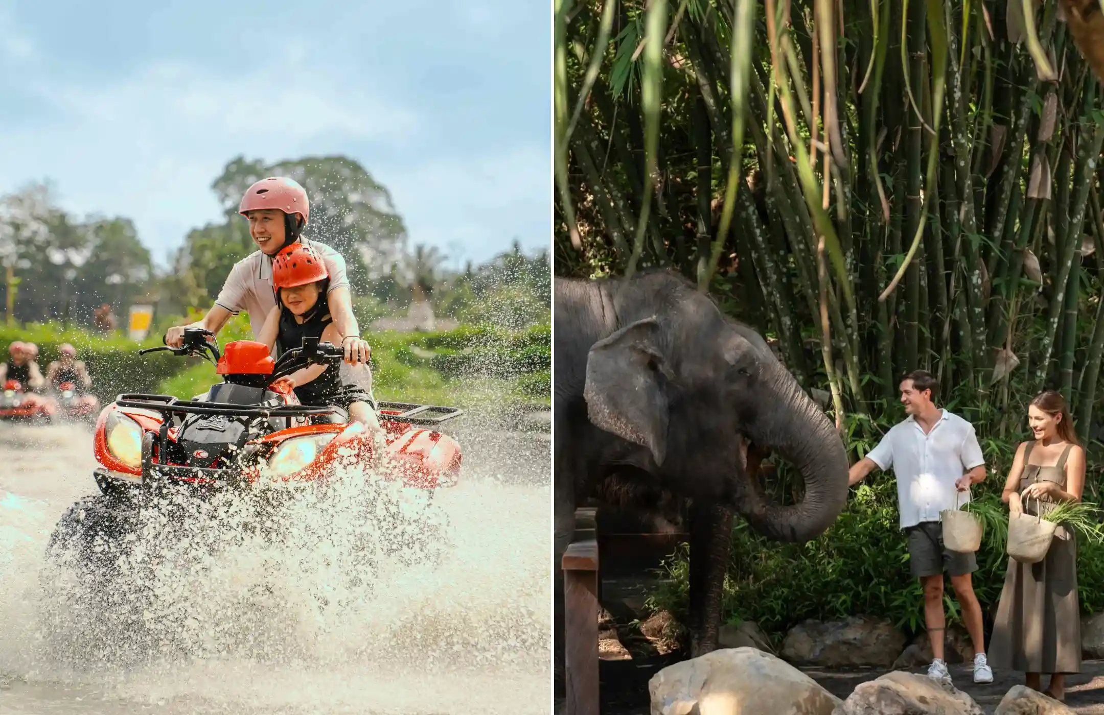 Ubud Quad Bike & Elephant Explore Tour