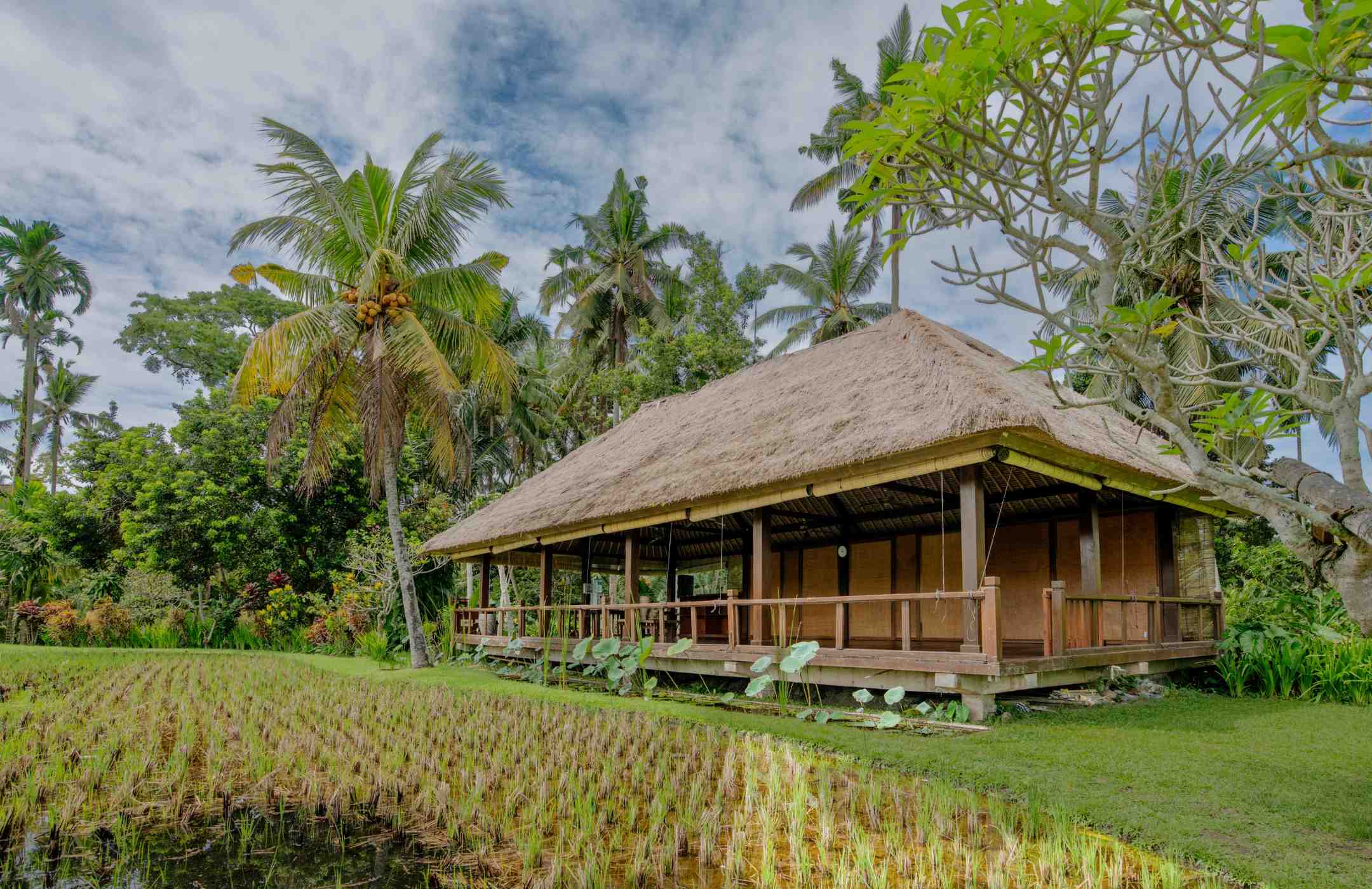 Jepun Yoga Shala