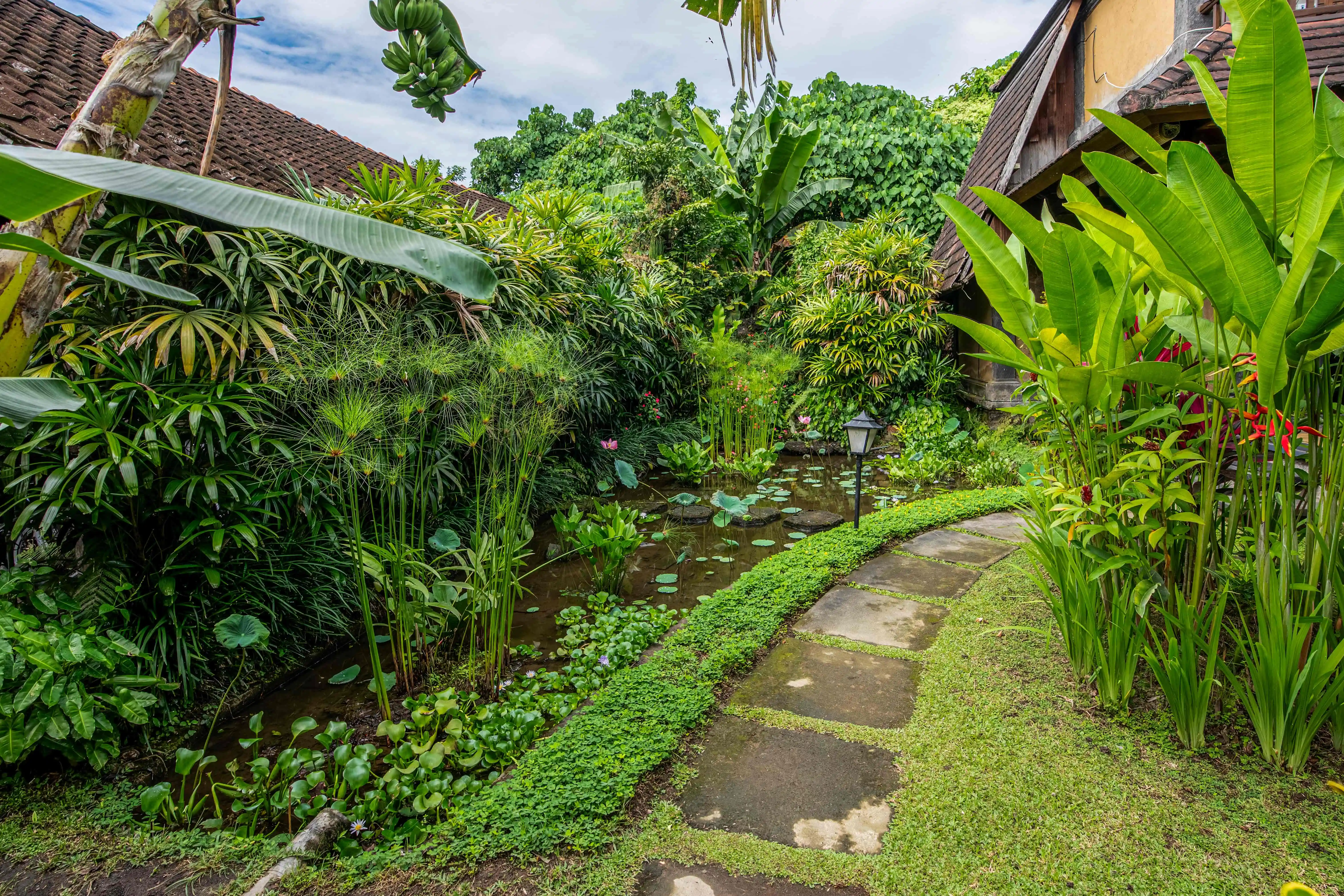 A Truly Ubud Journey