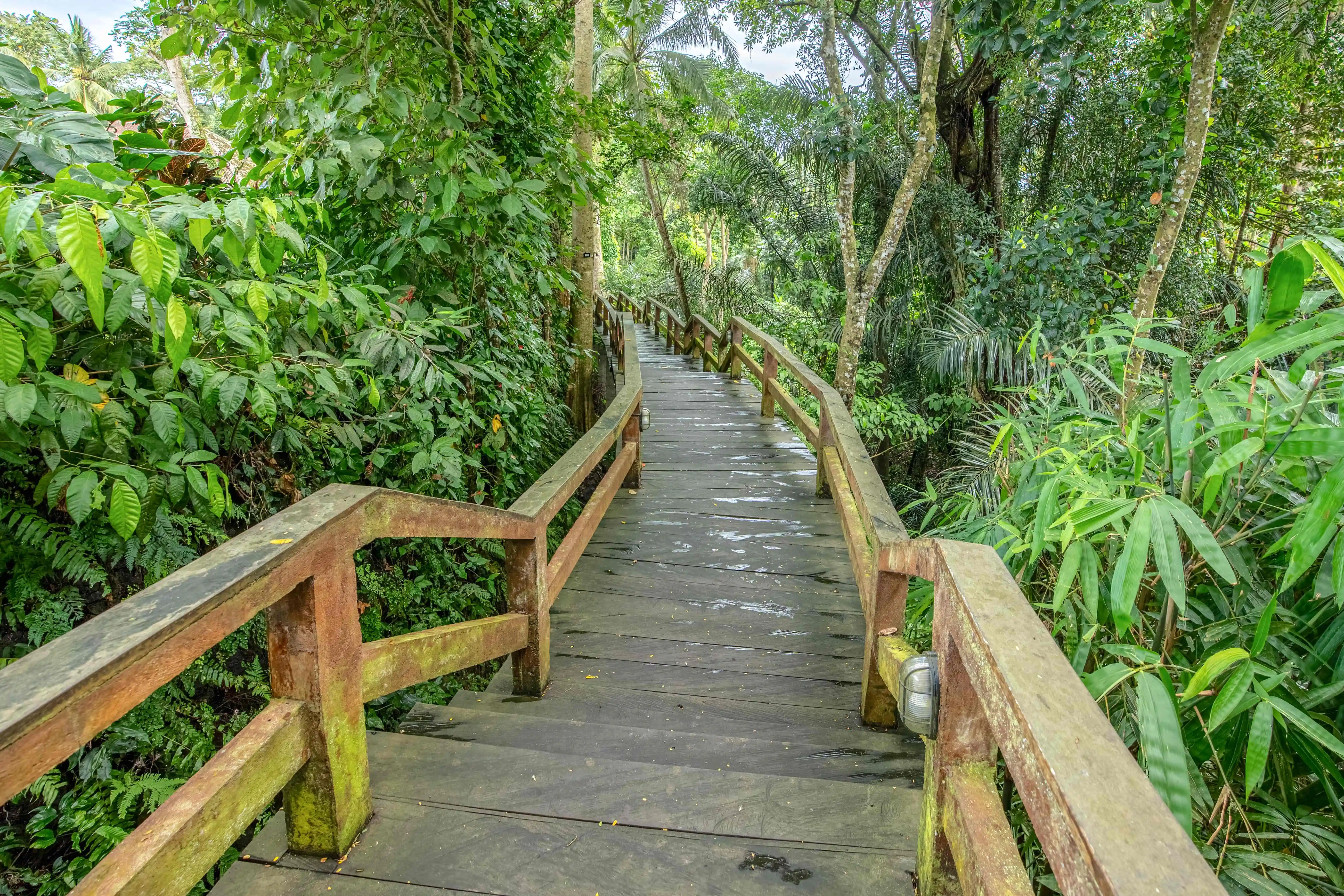 A Truly Ubud Journey