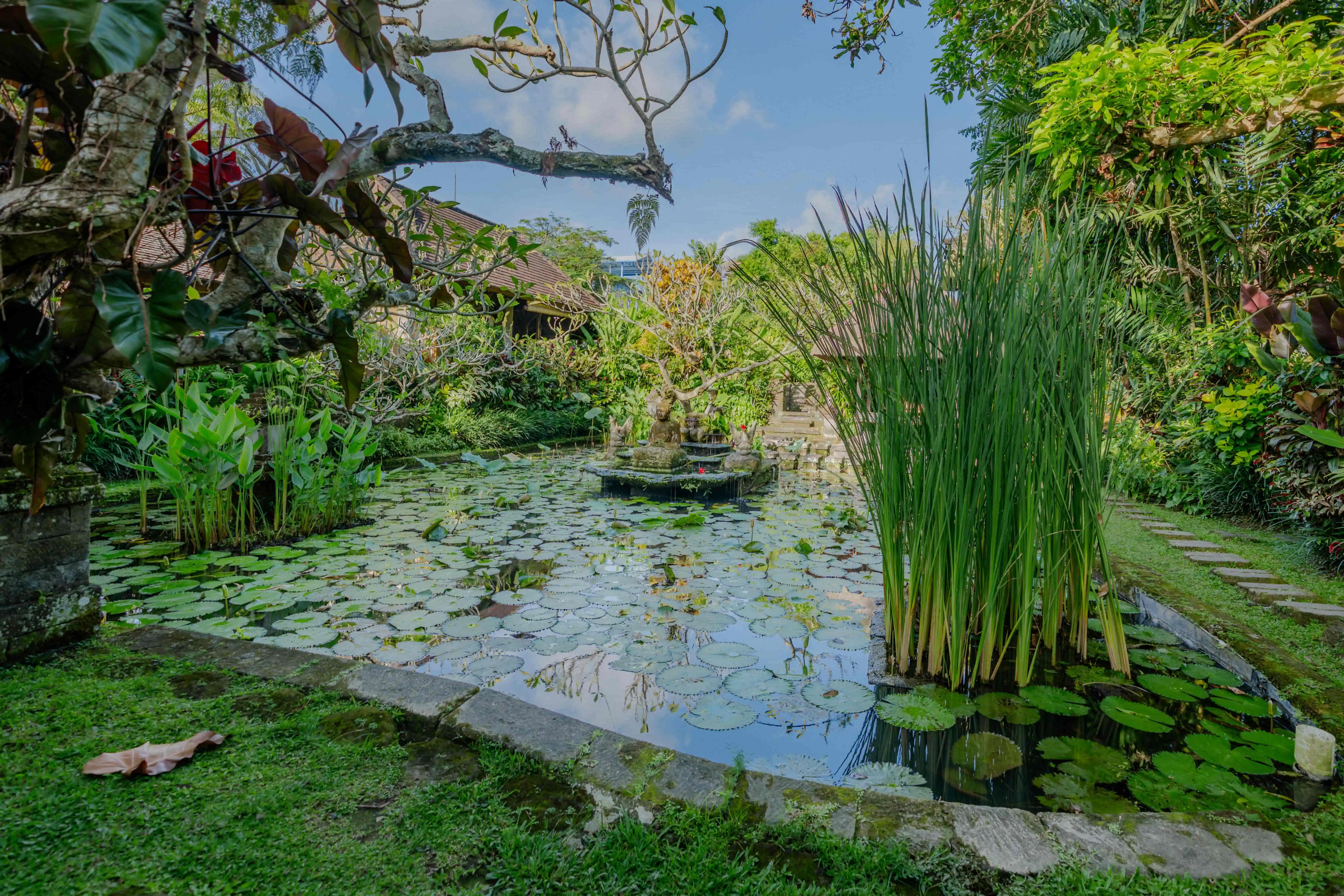 A Truly Ubud Journey