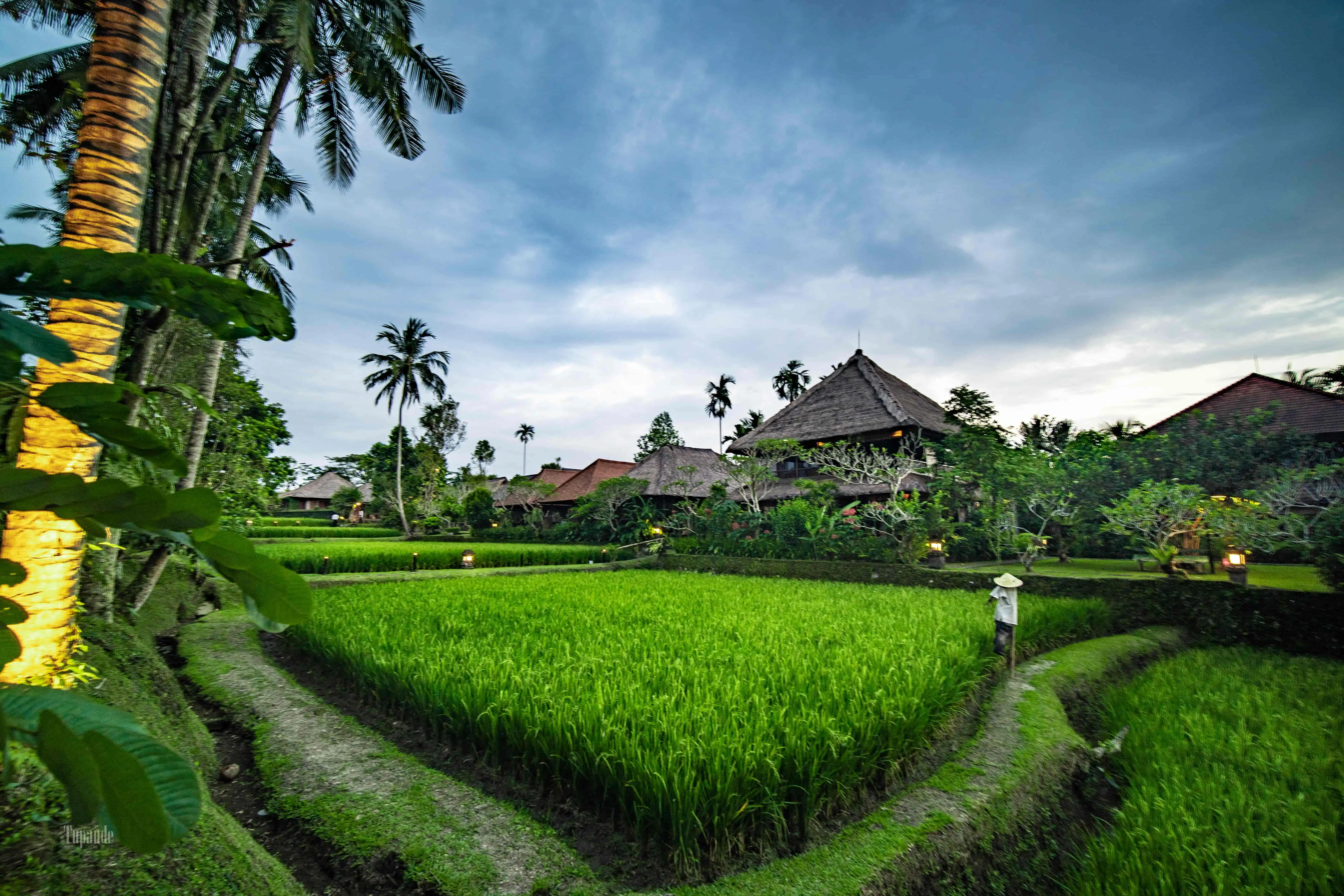 A Truly Ubud Journey