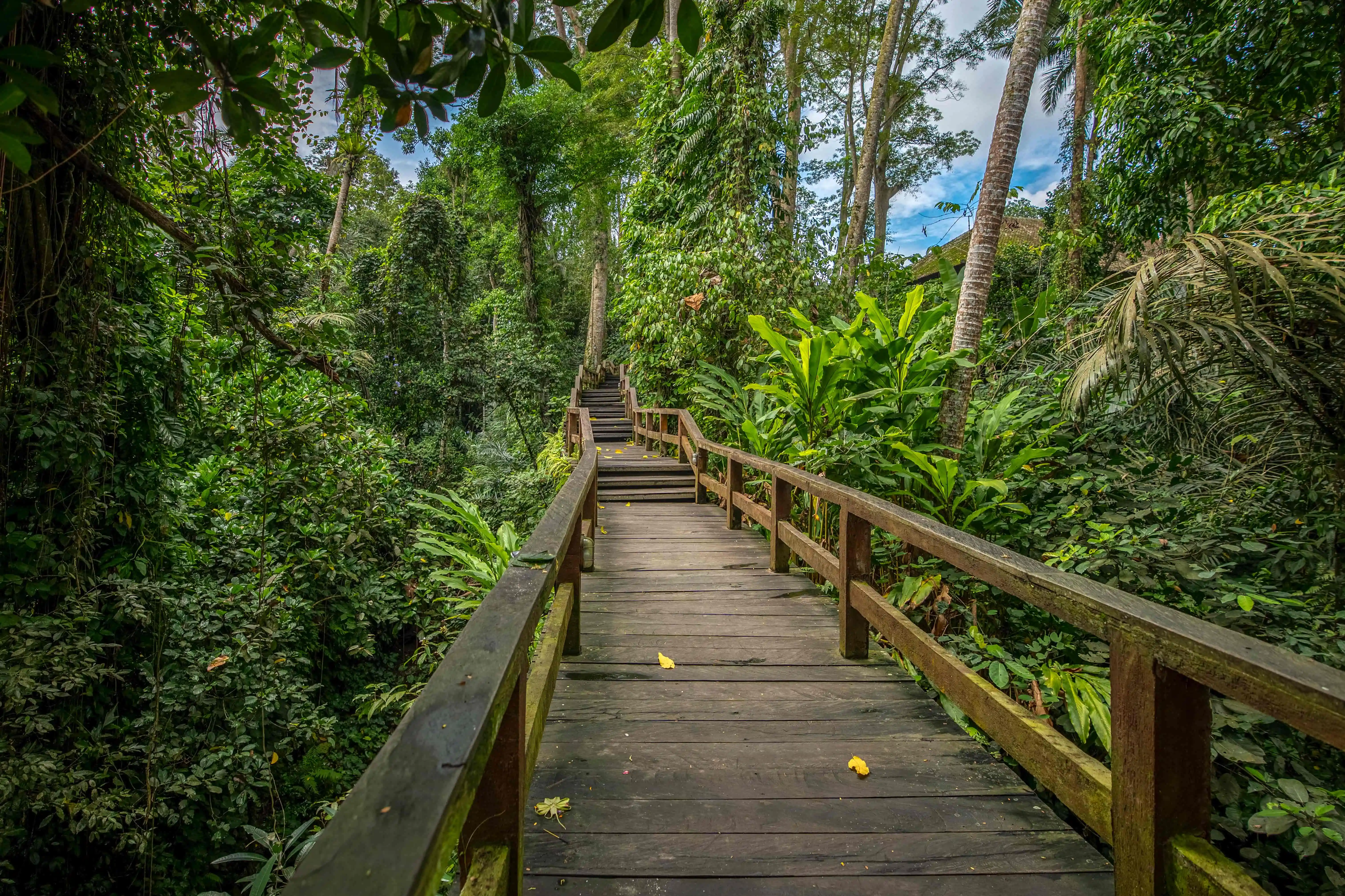 A Truly Ubud Experience