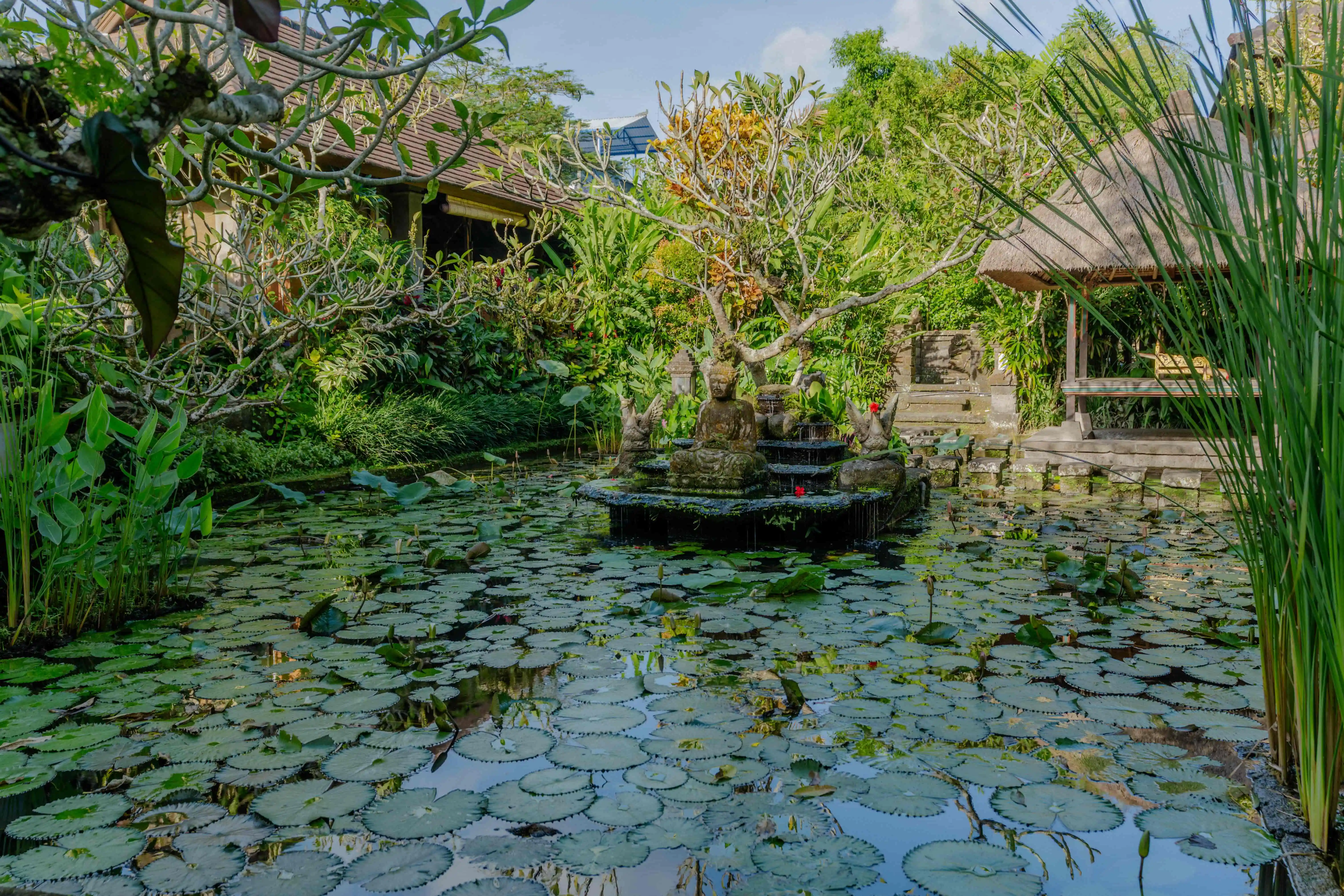 A Truly Ubud Experience