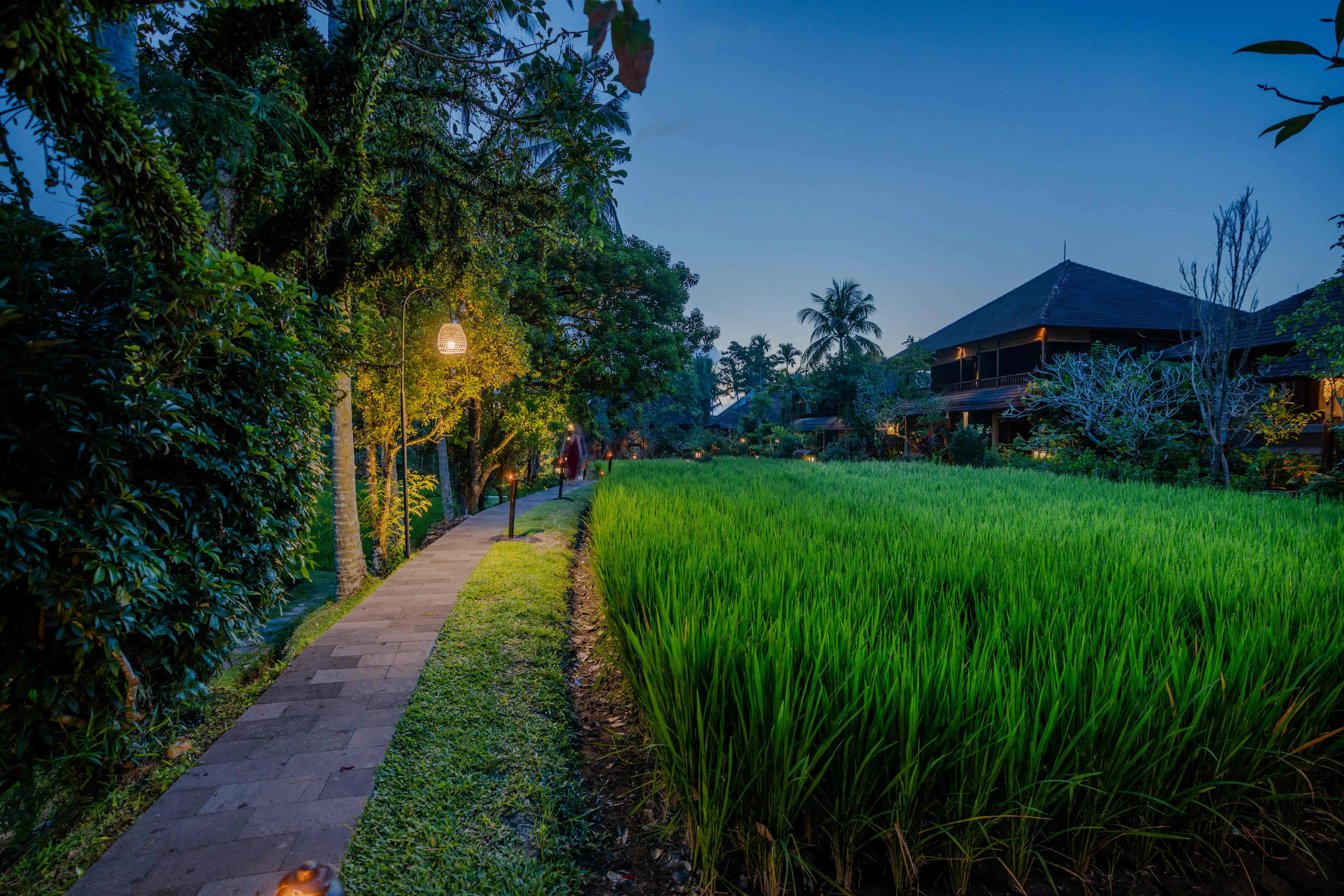 Serene in Ubud