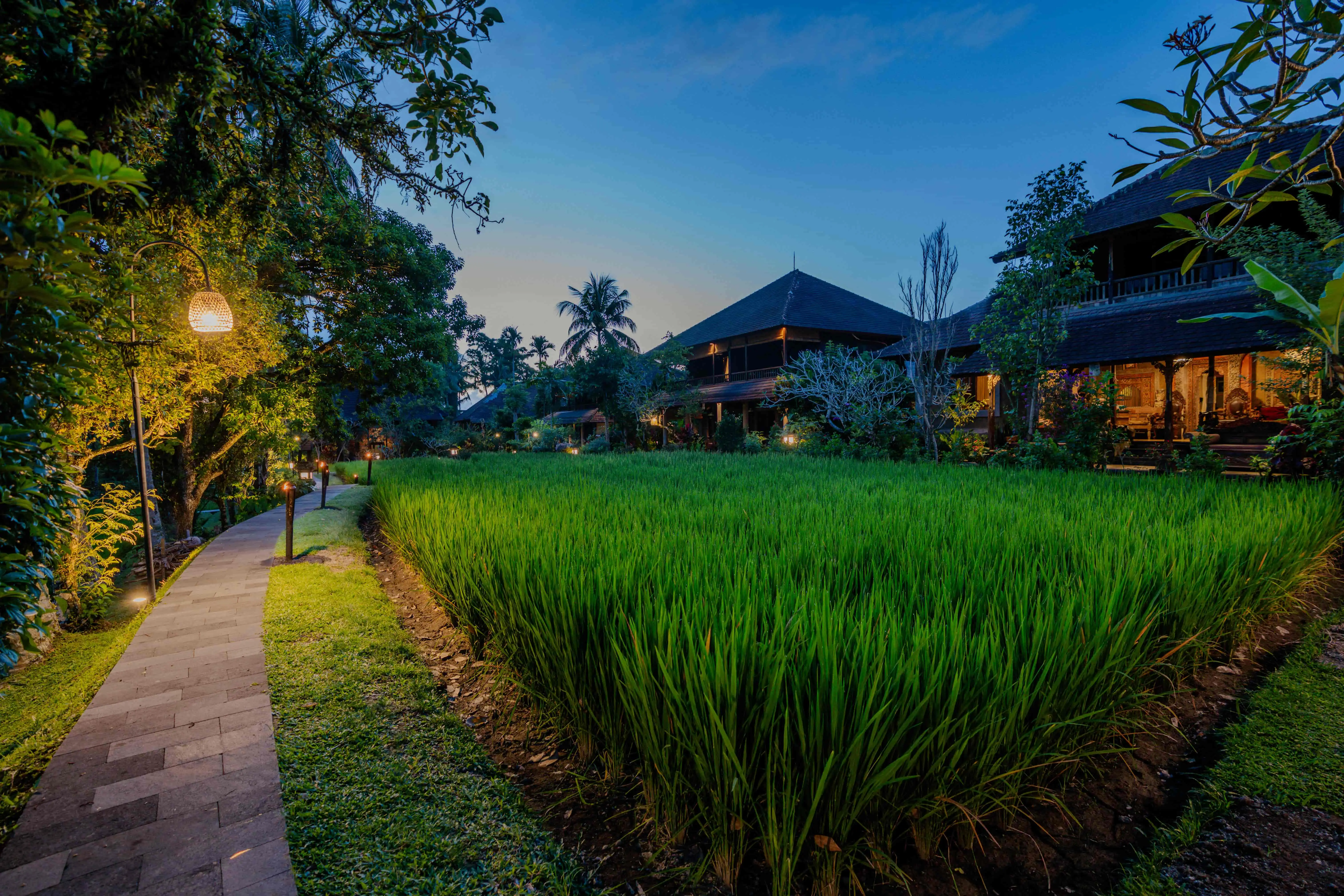 Serene in Ubud