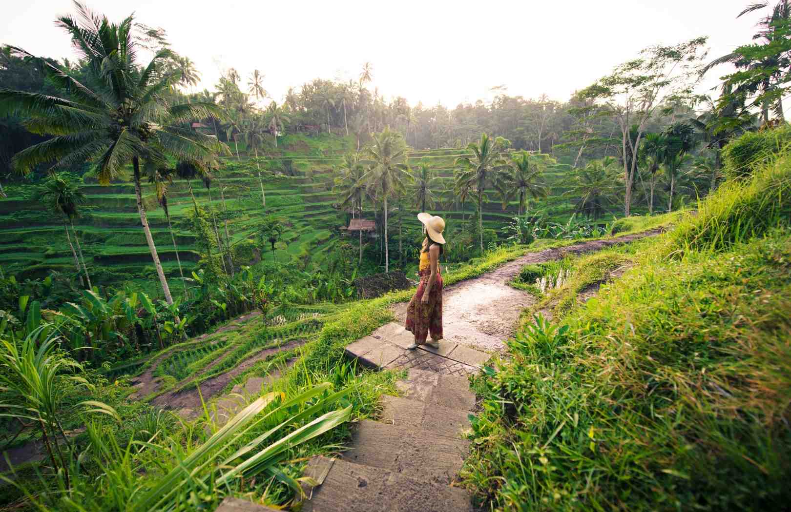 Mount Batur Sunrise Jeep Tour, Black Lava & Tegalalang Rice Terrace