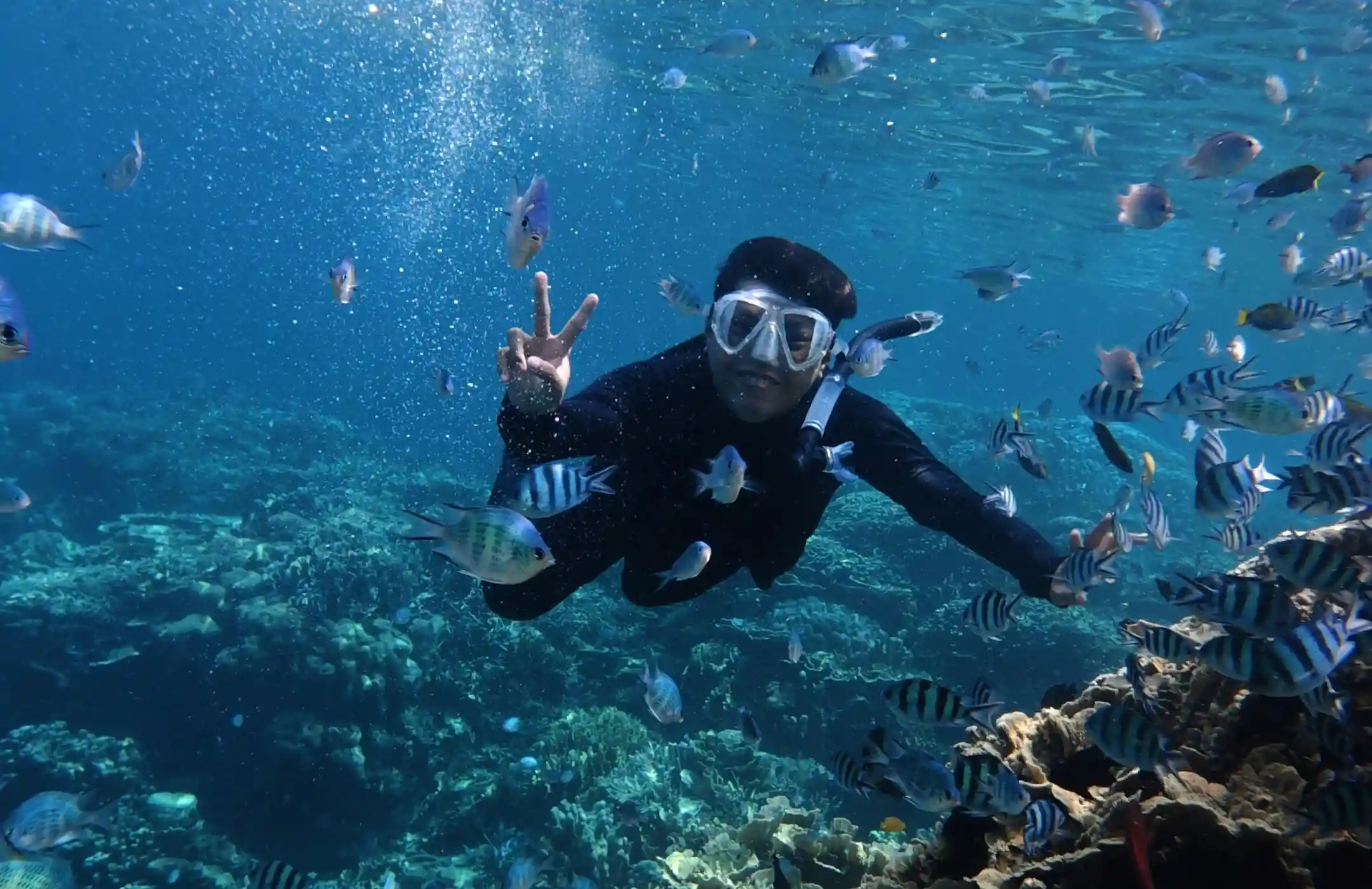 Blue Lagoon Snorkeling Adventure