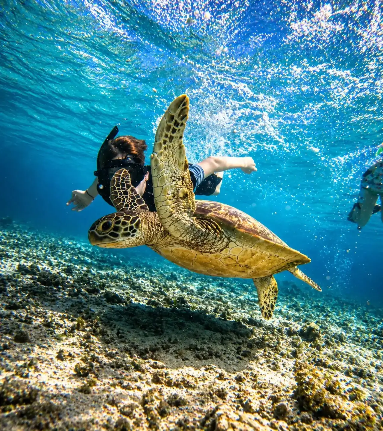 Karunia Luxury & Gili Air Snorkeling Adventure