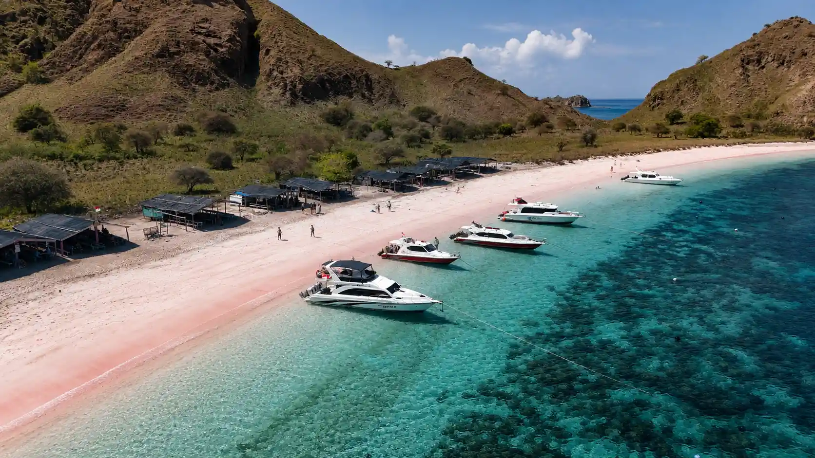 Komodo Island, Padar Island, and Pink Beach Travel Guide