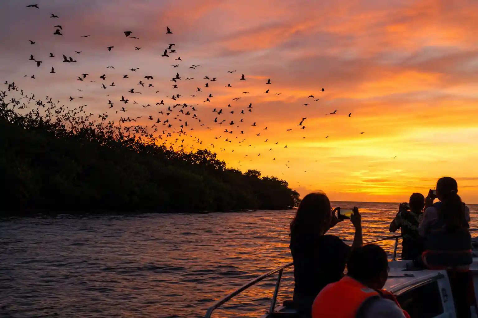 Private Speedboat Charter Half-Day Sunset Kalong Labuan Bajo (Maks 15 Pax)