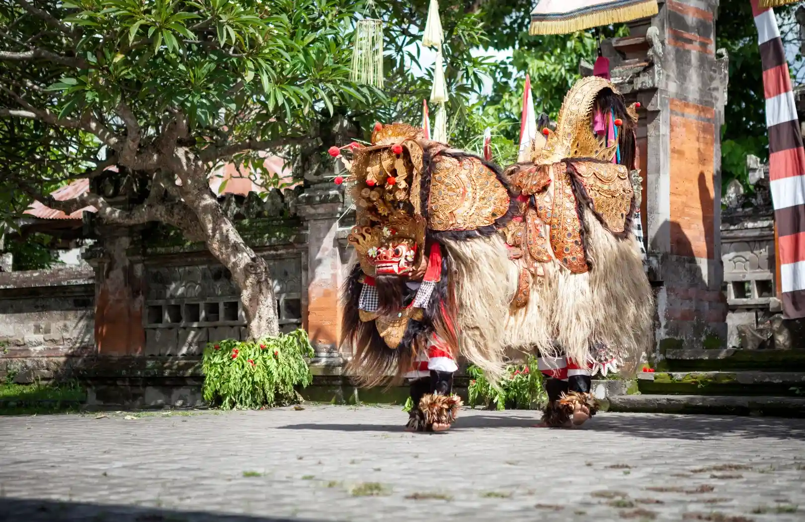 Ubud Culture, Waterfall and Swing Day Tour