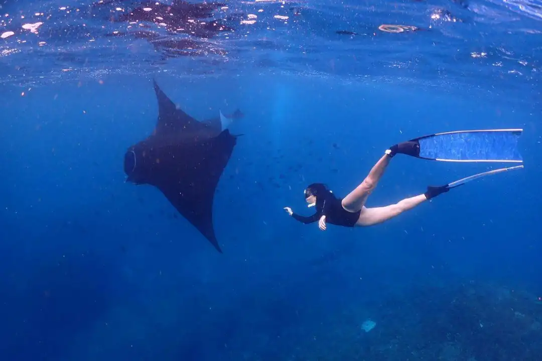 Snorkeling Only Package