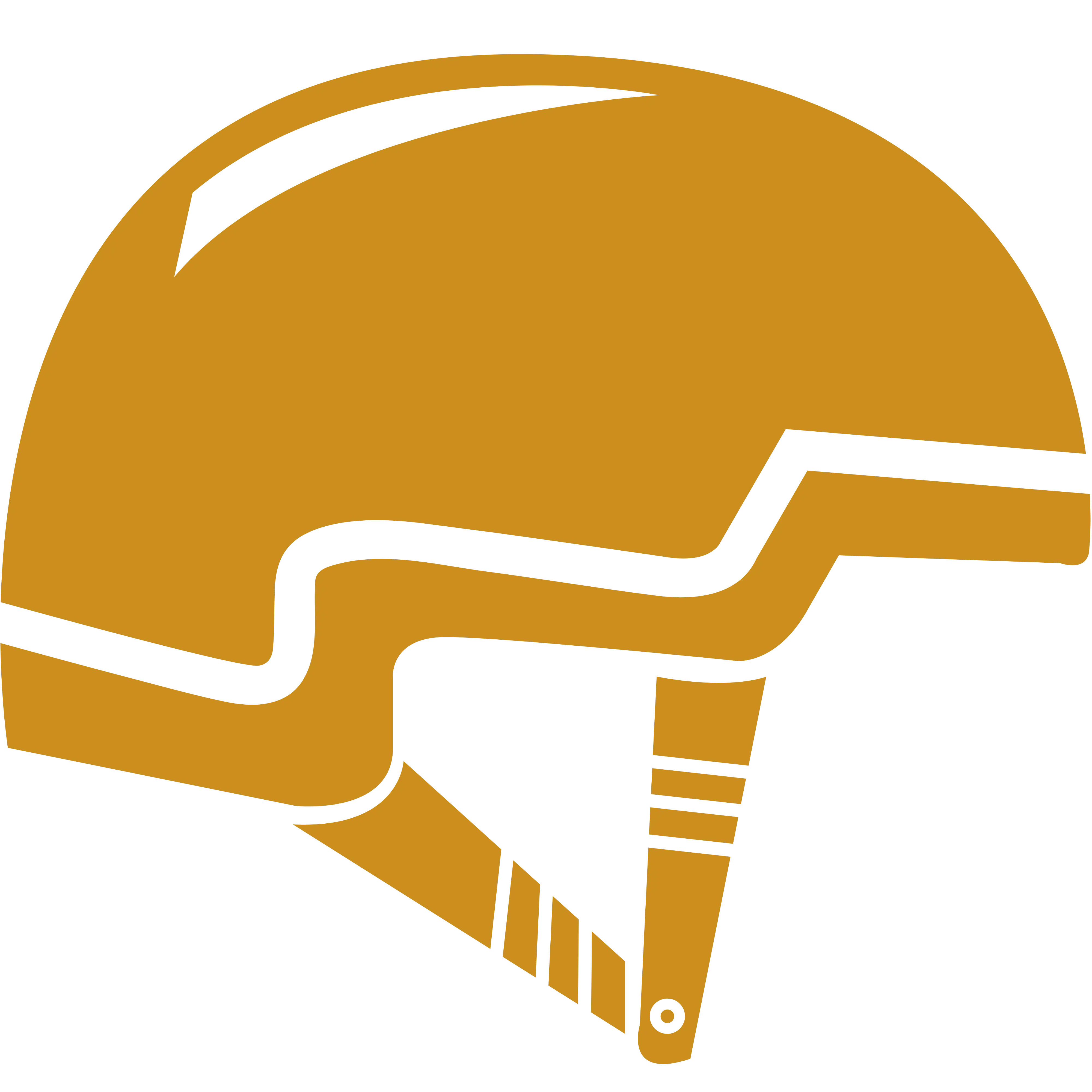 helmet