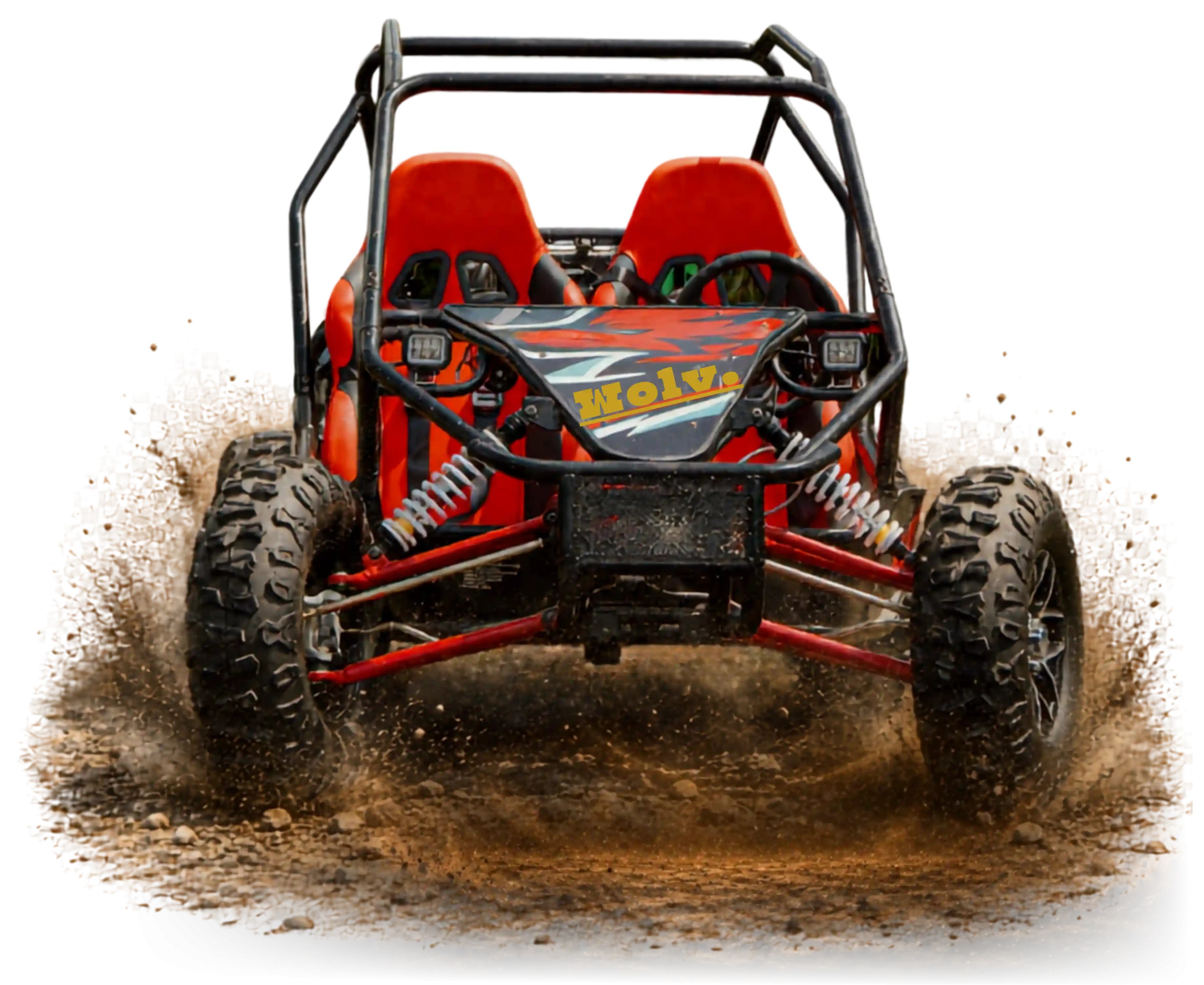 Buggy Experience