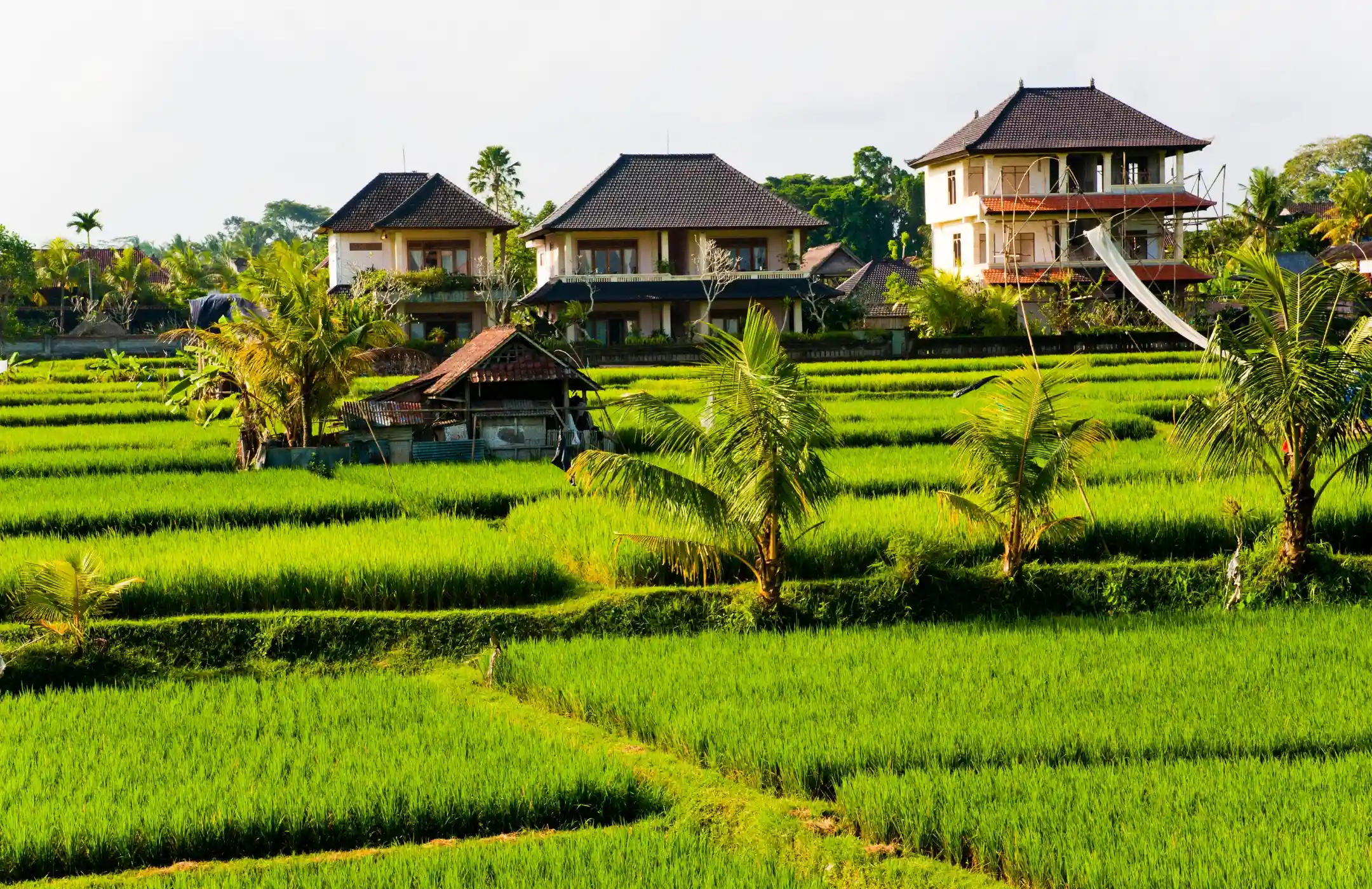 Why Invest in Property in West Bali?
